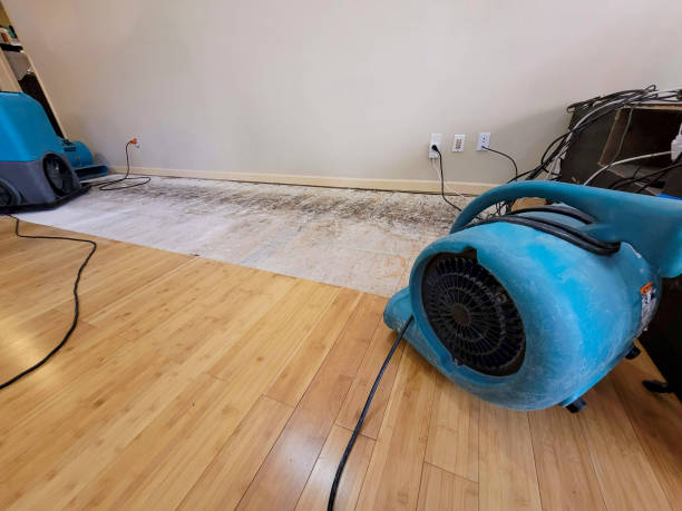 Professional Flood Damage Cleanup technician working in Abbott, TX
